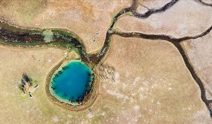 Su kıtlığı dünya nüfusunun yarısını etkiliyor