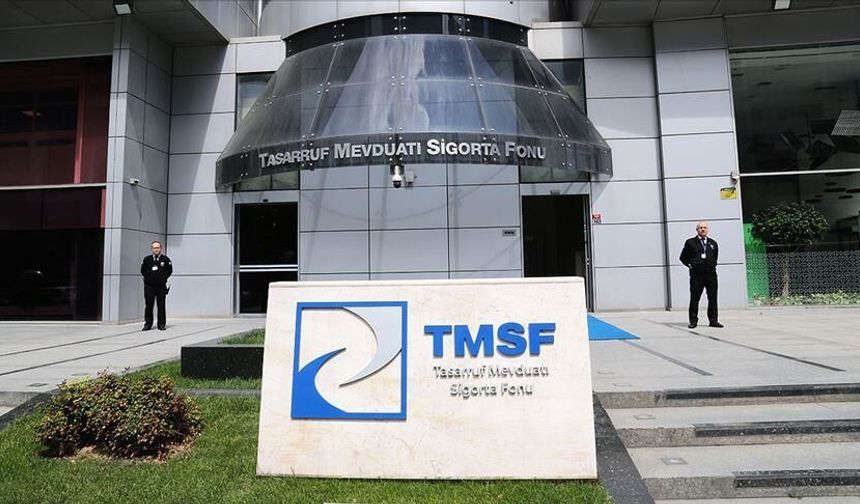 TMSF dört ticari ve iktisadi bütünlüğü satışa çıkardı
