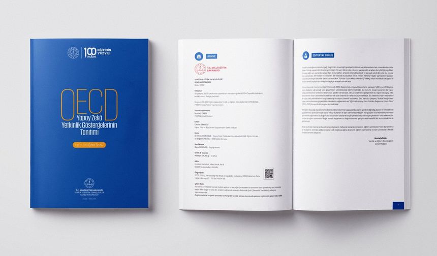 OECD’nin Yapay Zekâ Yetkinlikleri Raporu Türkçeye kazandırıldı