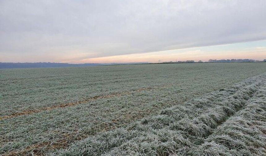Dün gece ülke genelinde 174 merkezde toprak sıcaklığı sıfırın altına indi