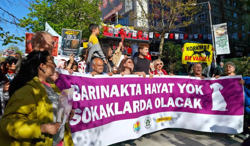 Ankara'da hayvanseverlerden yürüyüş