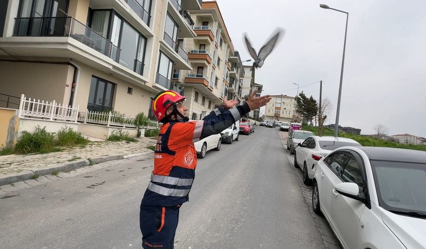 Avcılar'da havalandırma boşluğuna düşen güvercin ve martıyı itfaiye kurtardı