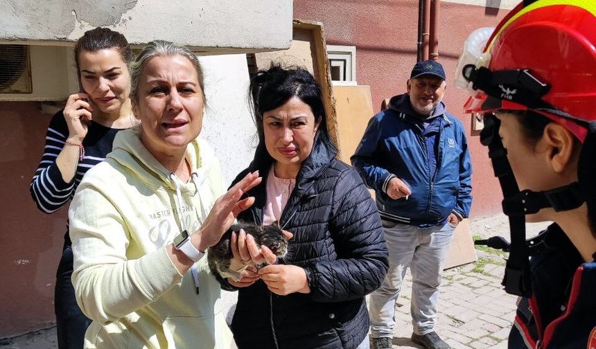 Avcılar’da yıkımı yapılan binada mahsur kalan yavru kediyi itfaiye kurtardı