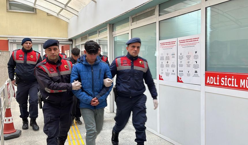 Bağ evinde baltalı-kazmalı cinayette 2 sanığa hapis cezası