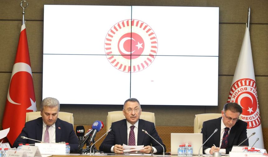 Oktay: TBMM Genel Kurulu’nda bekleyen 113 teklif kanunlaşmazsa 'kadük' olacak