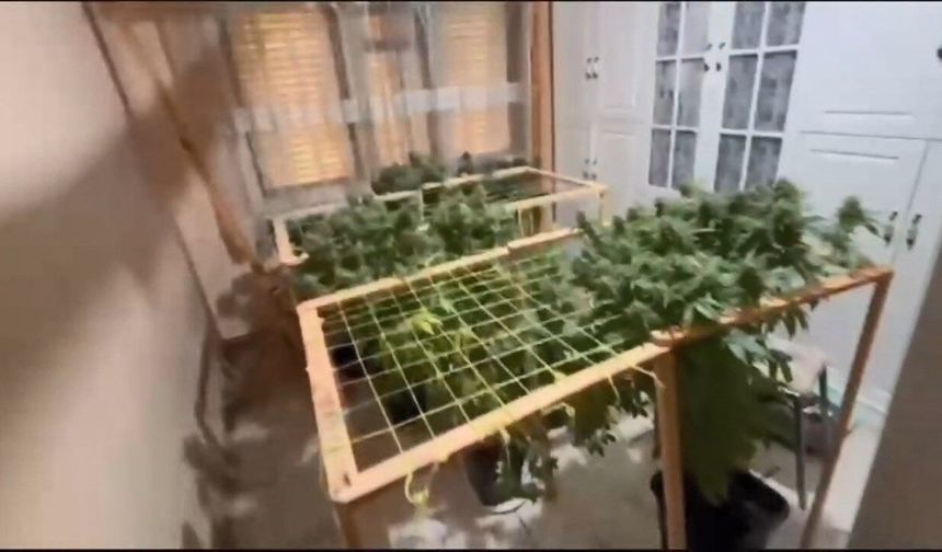 Pendik’te uyuşturucu operasyonu: 2 şüpheli tutuklandı