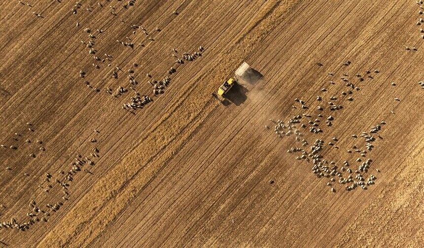 Kırsal Kalkınma Yatırım Programı 2026 başvuru dönemi başladı