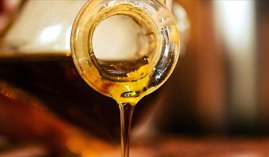Türkiye'nin ayçiçeği yağı ihracatı ilk çeyrekte yüzde 17,2 arttı