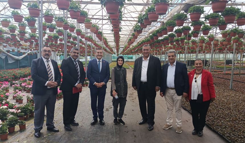 Anneler günü öncesi çiçek seralarında yoğun mesai