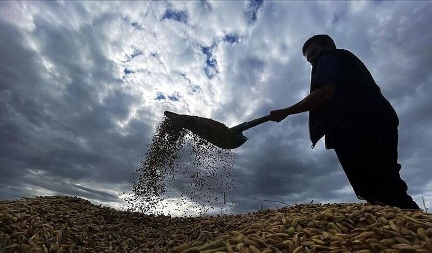 Bakan Yumaklı, yaklaşık 6,5 milyar lira tarımsal destekleme ödemesinin bugün yapılacağını bildirdi