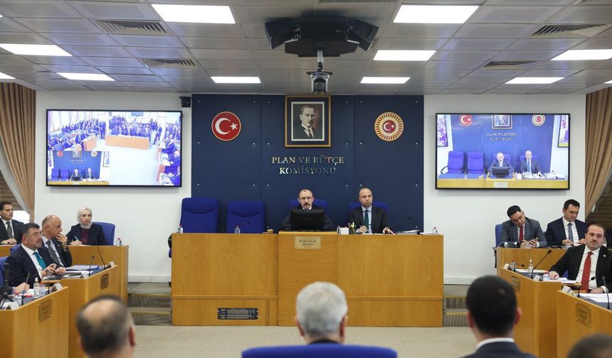 'Varlık Barışı'nı içeren kanun teklifi, TBMM Plan ve Bütçe Komisyonu'nda
