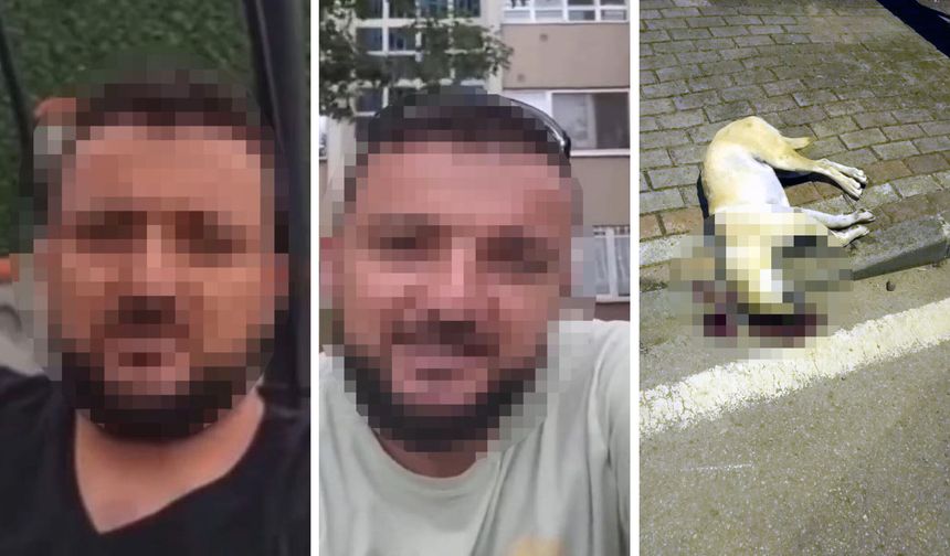 Oğlunu ısıran köpeği öldüren kişiye verilen beraat kararını istinaf bozdu