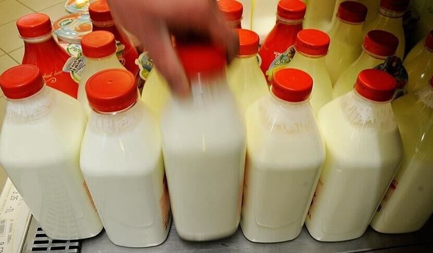 Türkiye'nin ayran, kefir ve yoğurt üretimi 4 ayda rekor seviyeye çıktı