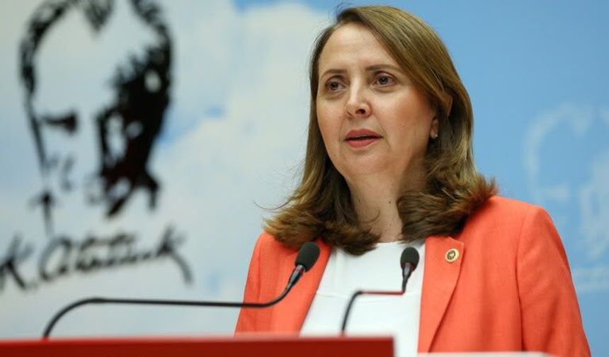 CHP’li Dinçer'den kadın istihdamı raporu
