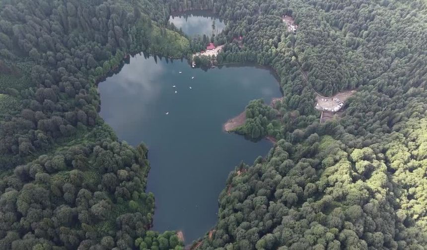Borçka Karagöl Tabiat Parkı'nda ziyaretçi yoğunluğu yaşanıyor