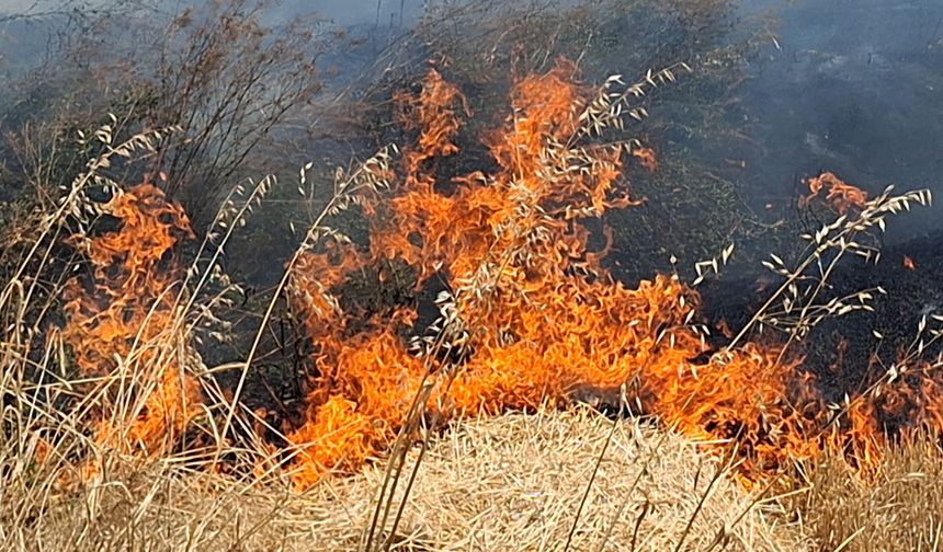 Beypazarı'nda ekili alanda yangın çıktı