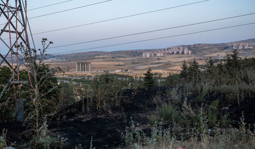 Ankara'da otluk alanda çıkan yangın söndürüldü