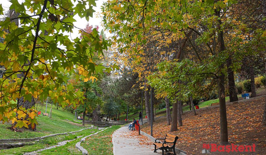 Başkentin gözde parkı dünya gündeminde