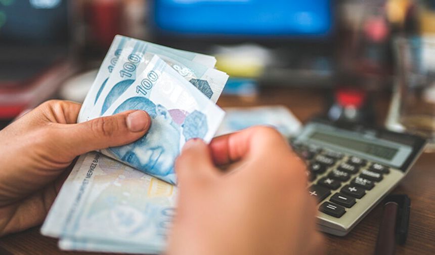 Haziranda en çok kazandıran yatırım aracı belli oldu