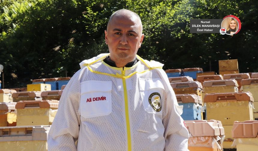 Türkiye bal üretiminde dünyada ikinci