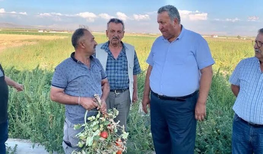 Gürer: Üretici borcunu ödeyemeyince icra kapıda