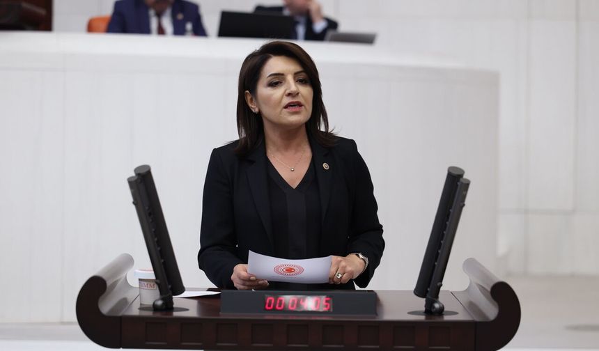 Gülcan Kış: Saray, bir emeklinin bir aylık maaşını 43 saniyede harcıyor!