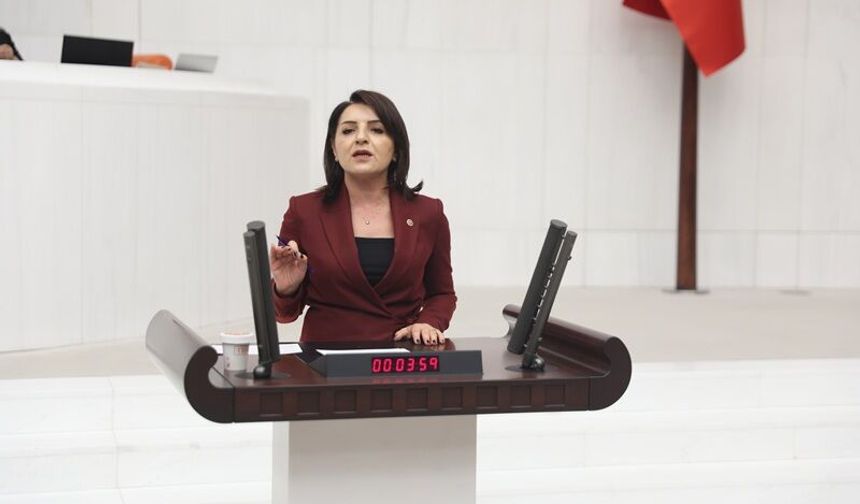 CHP’li Kış: Emekliye reva görülen zam, yoksulluğun güncellenmiş tarifesidir