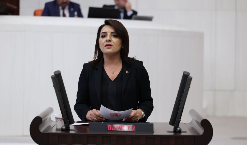 Gülcan Kış: "AK Parti, millete tasarrufu, bütçeye faizi reva gördü"