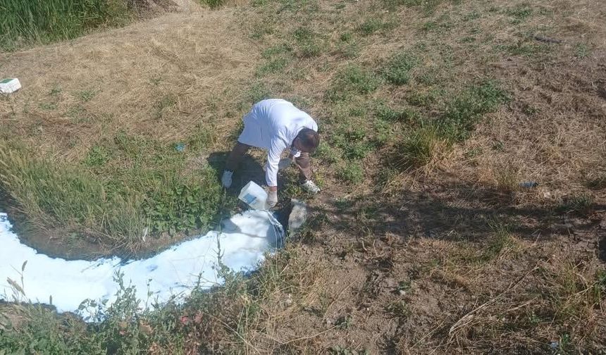 Haşerelere karşı ilaçlama çalışmaları sürüyor