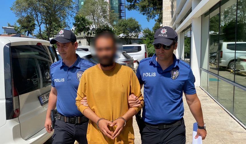 Kediye tekme atan şüpheli yakalandı