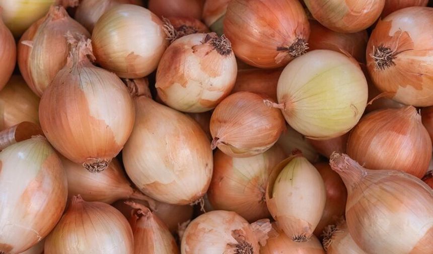 Kuru soğanda gümrük vergisi 31 Ağustos'a kadar yüzde 5'e indirildi