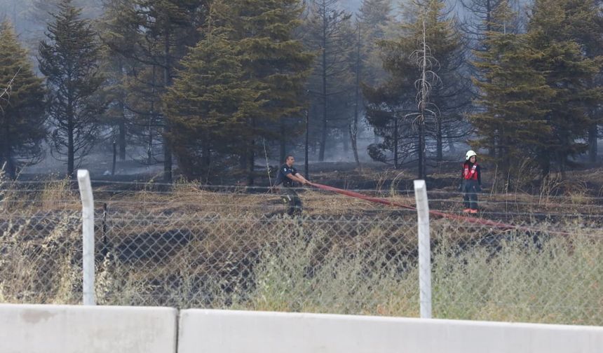 Ankara'da çıkan ot yangınına havadan ve karadan müdahale ediliyor