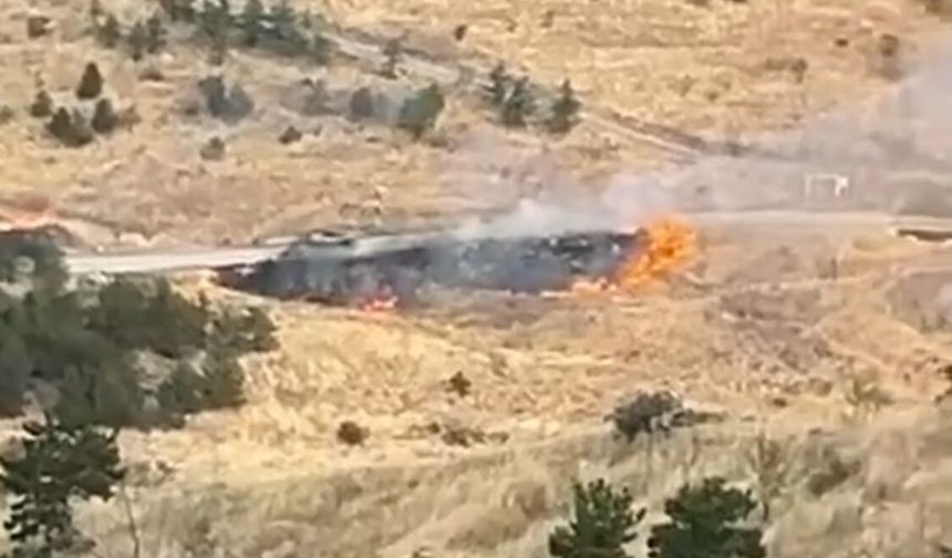 Ankara'da ağaçlık alanda yangın