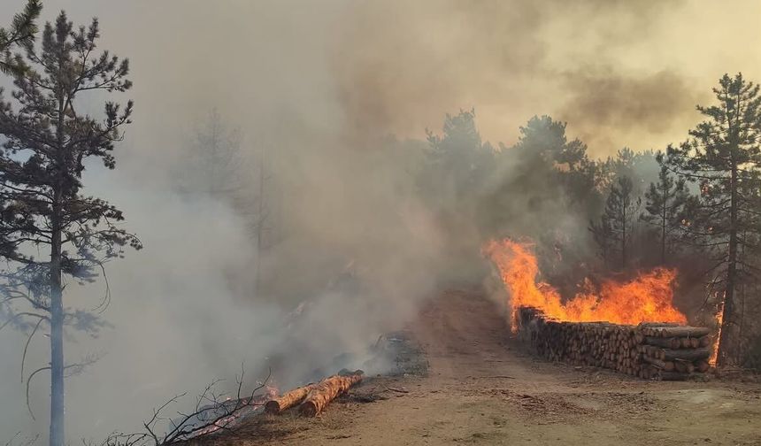 Bolu Göynük’te orman yangını södürüldü