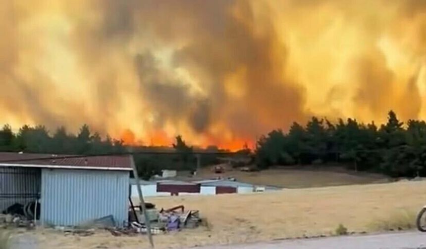 Çanakkale'de 2 ayda çıkan orman yangınlarında 541 hektar alan zarar gördü