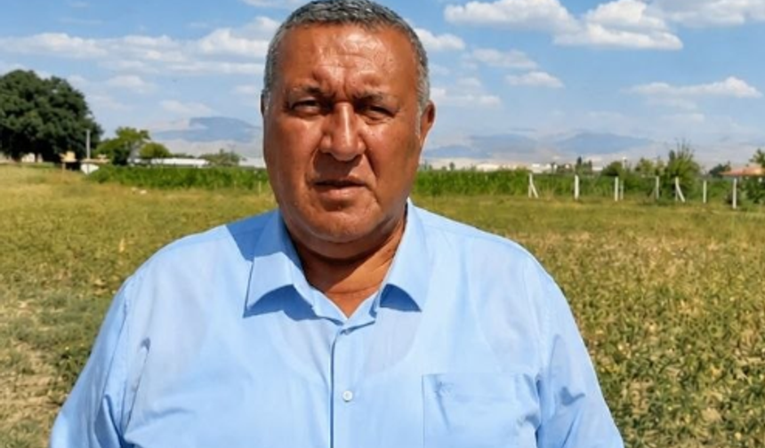 Gürer: Nohutta ithalat 5 yılda 4 kat arttı