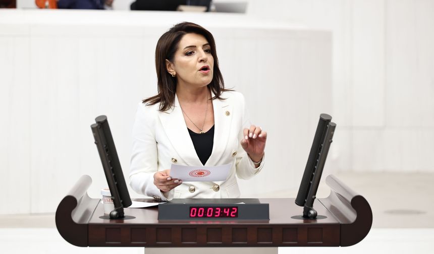 Gülcan Kış: Kemer Hazine’ye değil, milletin boğazına sıkıldı