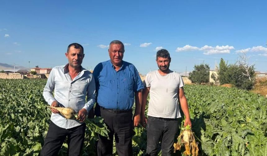 Gürer: Pancar üreticisi fiyat bekliyor, çiftçinin beklentisi en az 4 bin lira