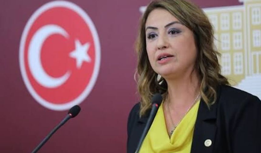 CHP’li Yıldırım Kara: Yayladağ’da milyonlarca ton maden geleceği gömüyor