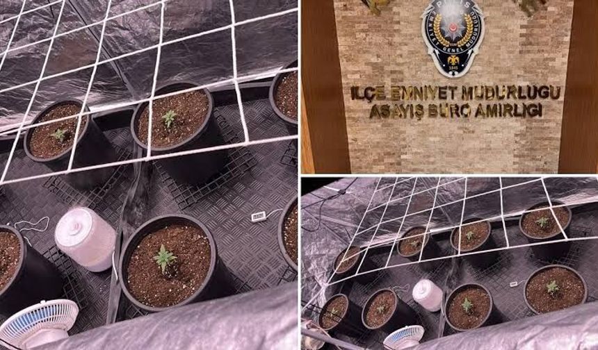 Şişli'de uyuşturucu operasyonu: 1 şüpheli tutuklandı