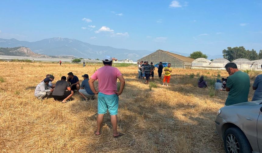 Muğla’da 4 gündür kayıp olarak aranıyordu, serada ölü bulundu