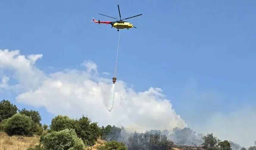 Bakan Gürlek, orman yangını soruşturmalarında 12 şüphelinin tutuklandığını açıkladı