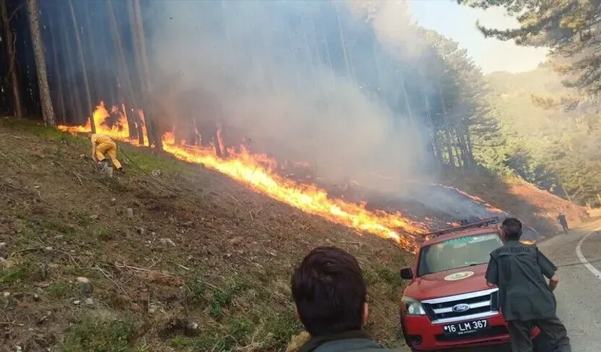 Uludağ'da yol kenarında çıkan yangın kontrol altına alındı