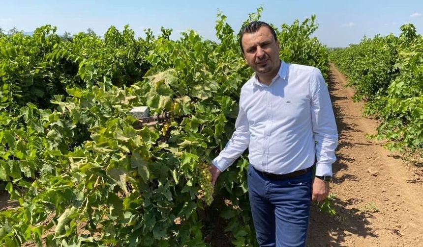 YENİ Parti’li Başevirgen’den çiftçiyi koruyacak üzüm fiyatı çağrısı