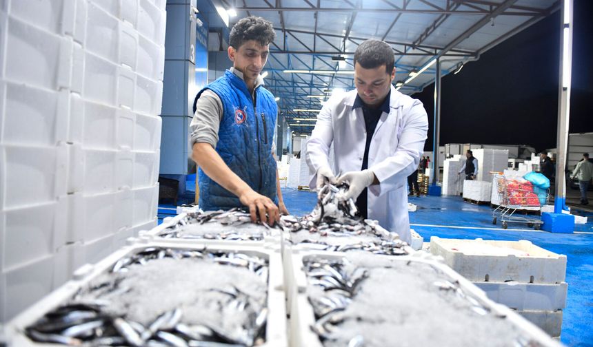 ABB’den balık halinde sıkı denetim