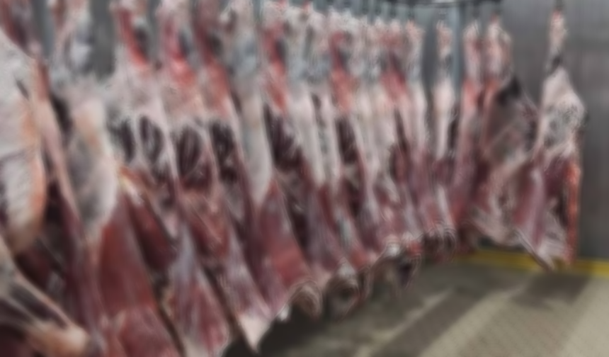 Başkentte halk sağlığını tehlikeye atan 104 ton et ve et ürünü ele geçirildi
