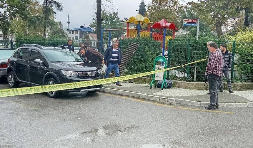 Kardeşini tabancayla vurup kaçtı