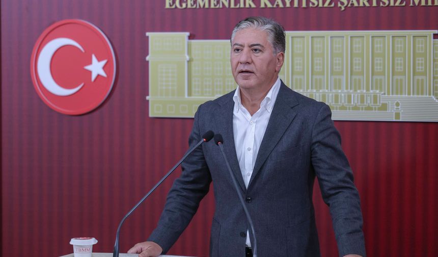 Yeni Partili Emir: TBMM'nin fon krizini görüşmesi şarttır