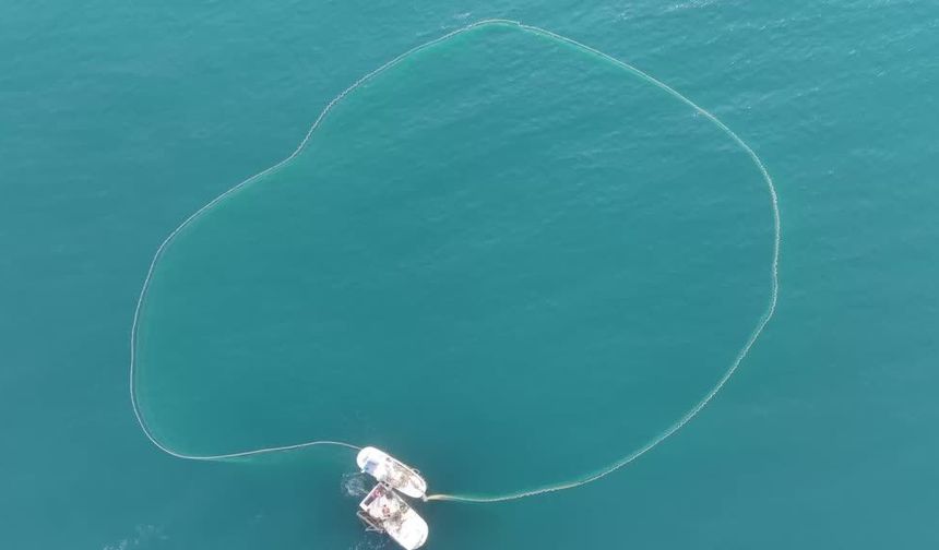 Sinop'ta balıkçıların palamut avı dronla görüntülendi