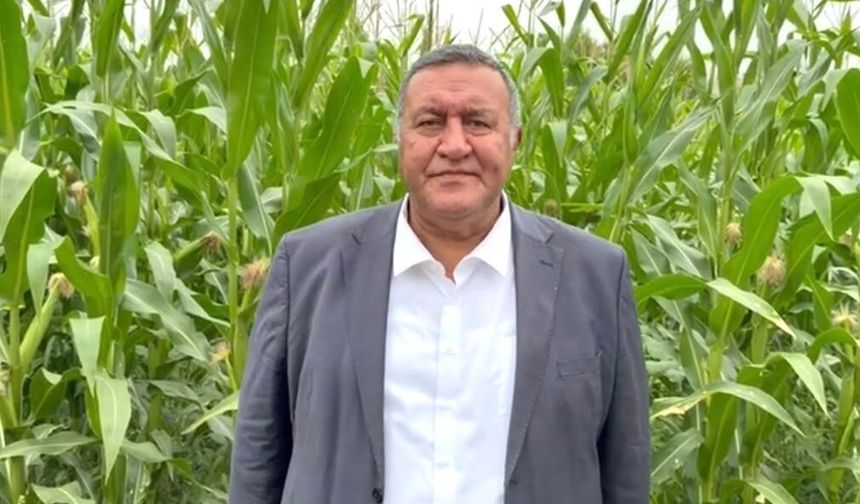 Gürer: Tarım kesimi sorunu çözmeden ürün fiyatı düşmez